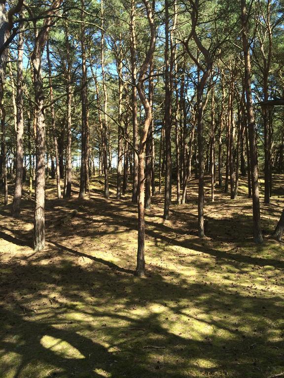 Hotel- & Ferienanlage Kapitaens-Haeuser ブレーゲ エクステリア 写真